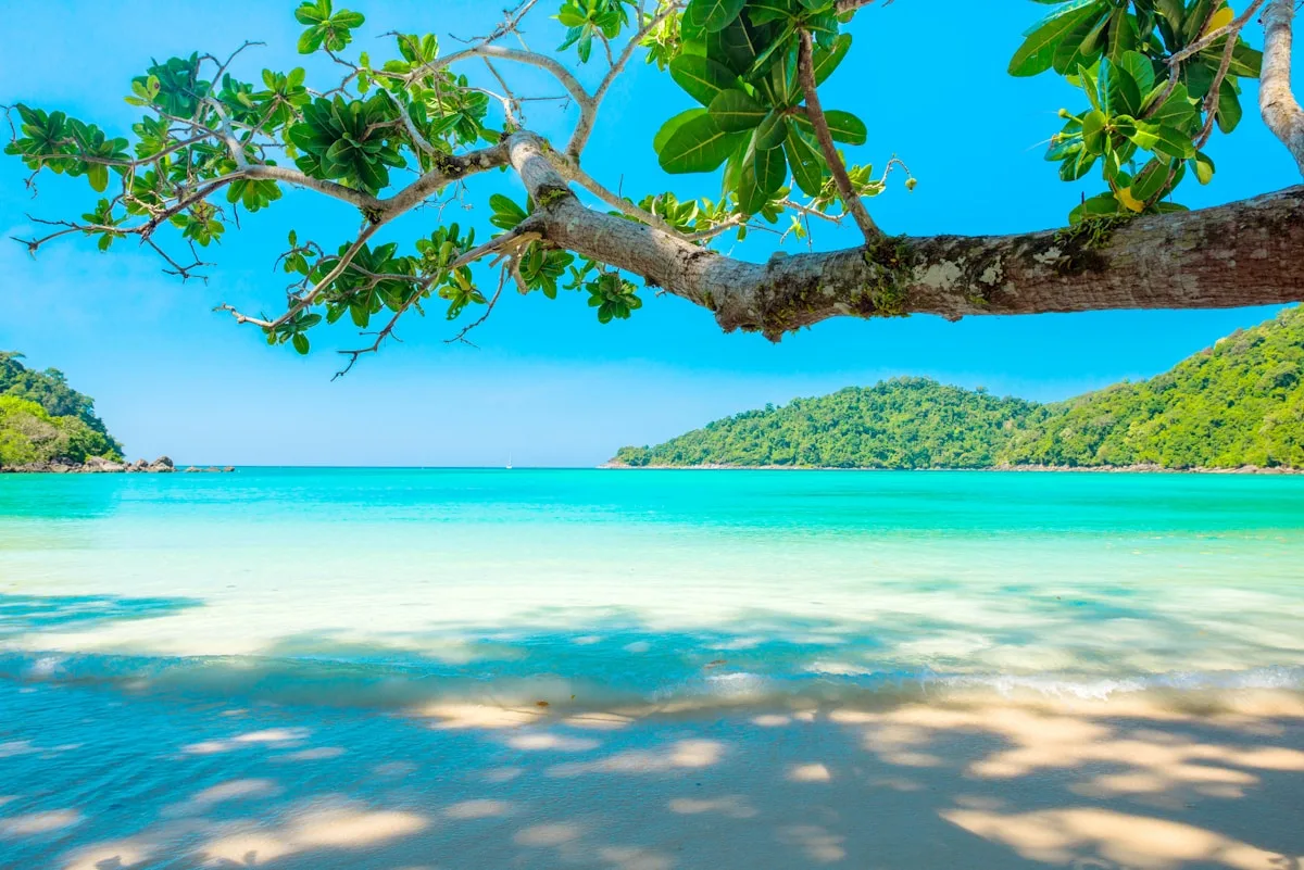 Praia Tropical Paradisíaca